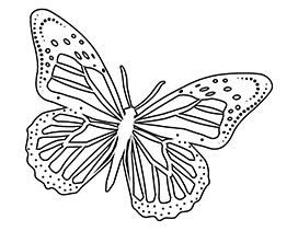 printable coloring page with butterfly