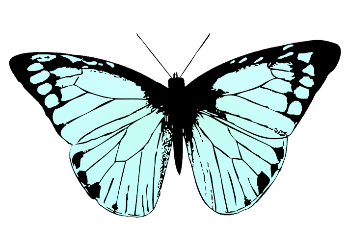 soft blue colored butterfly wings