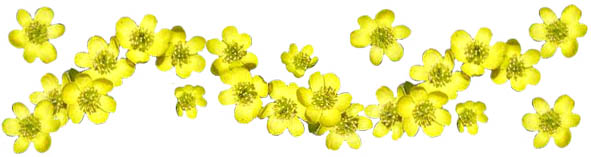 Image result for spring clipart