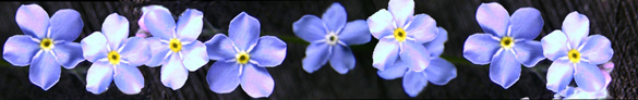 band of blue spring flowers clipart
