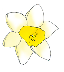 spring clipart daffodil pale