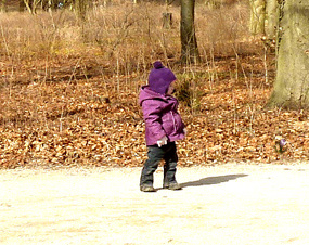 spring pictures child in forest