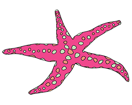 colorful starfish illustration