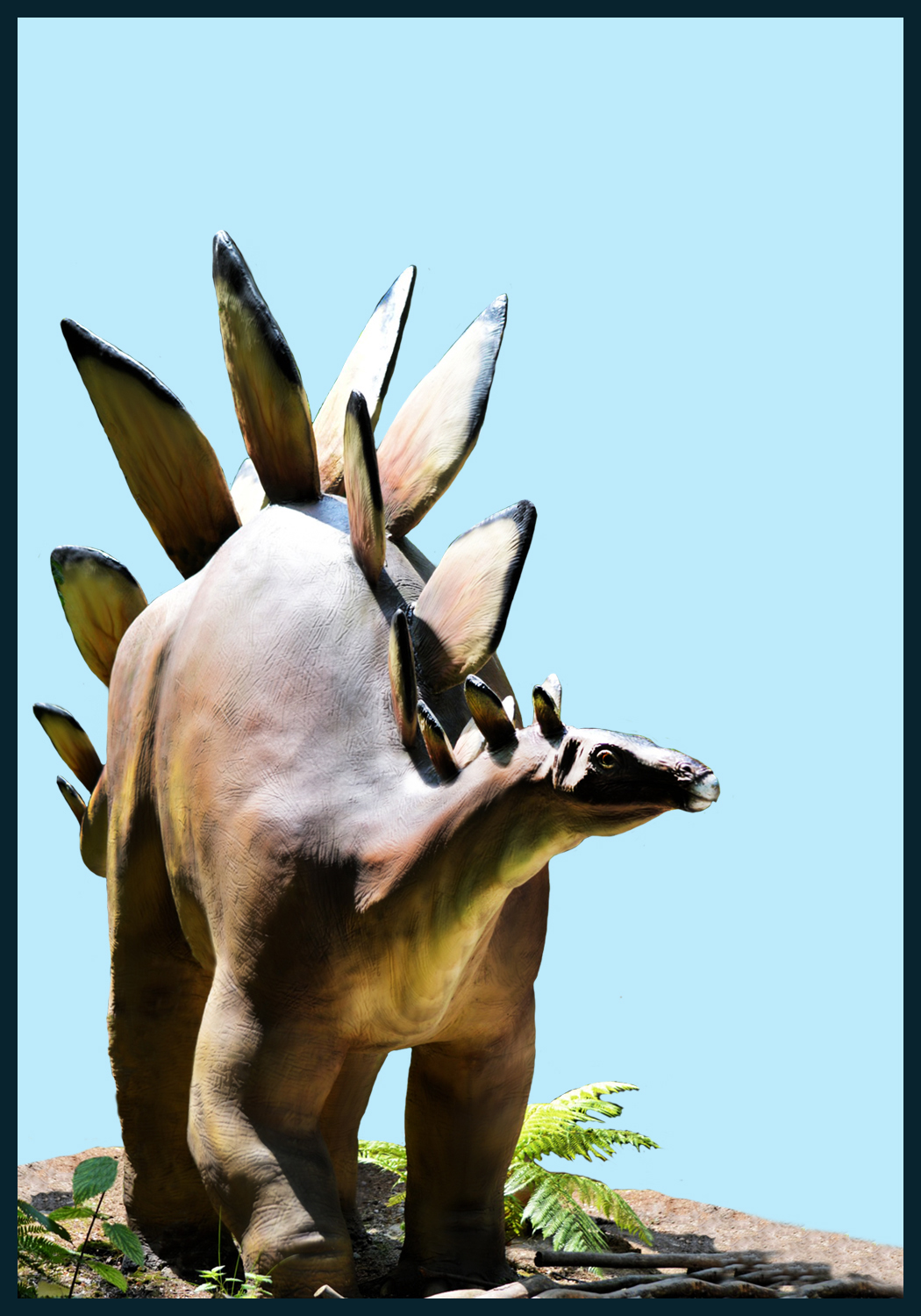 stegosaurus card