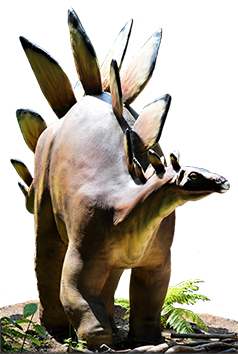 stegosaurus clipart from photo
