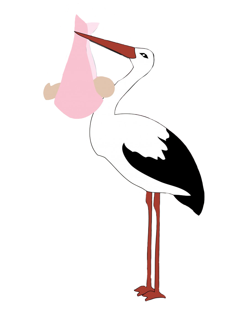 stork with baby girl