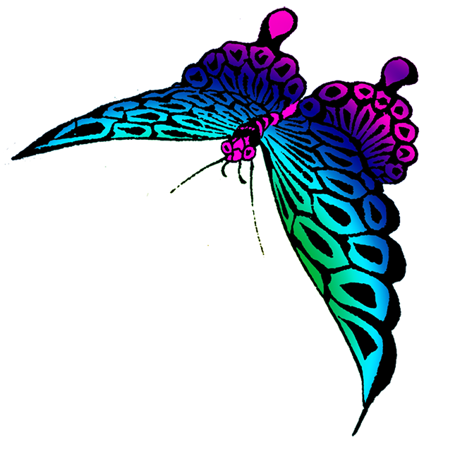 strange colored butterfly image