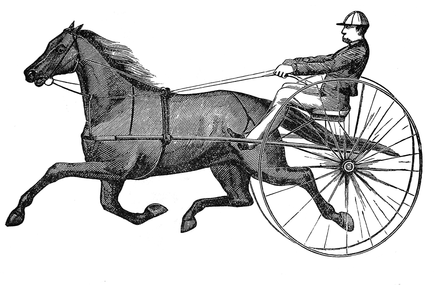 Victorian sulky horse and driver