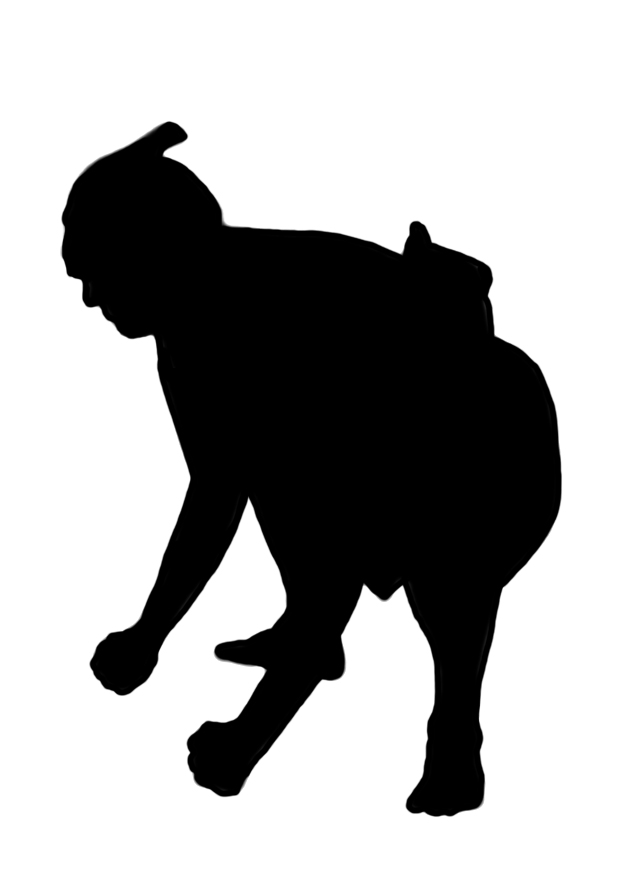 sumo Wrestler silhouette