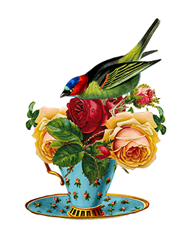 teacup bird roses vintage