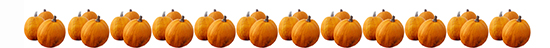 thanksgiving border pumpkins