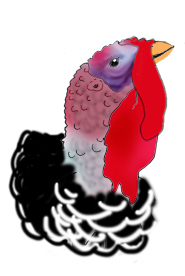 turkey bird for thanksgiving
