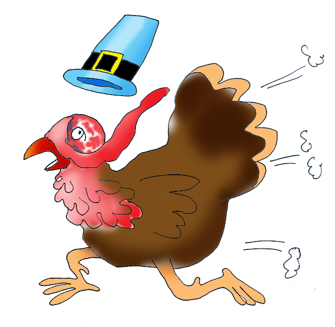 Turkey bird running away from thanksgiving