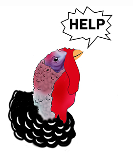 Turkey help clipart