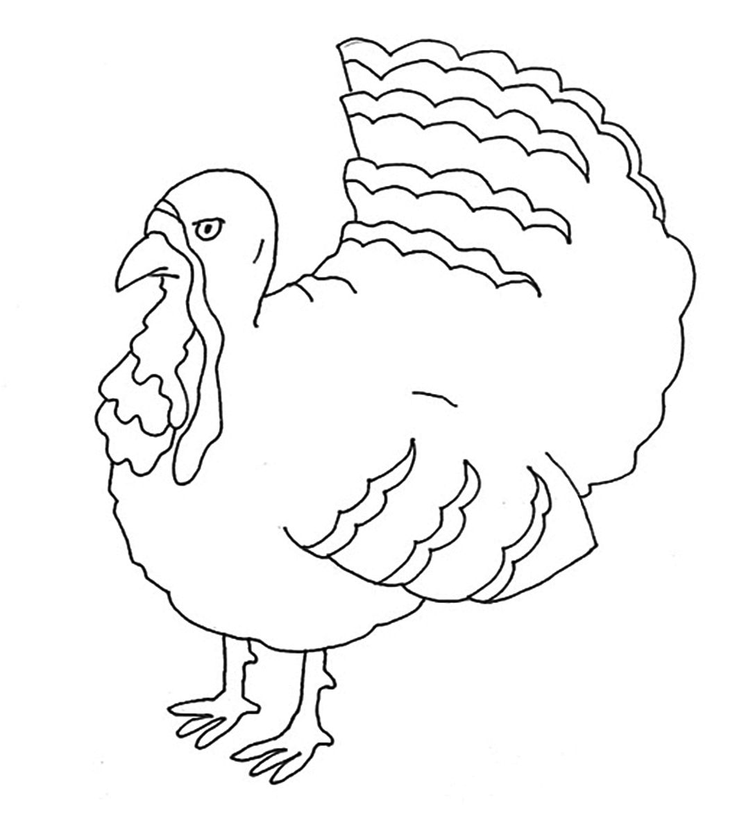 black throated gray turkey coloring pages