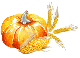 Thanksgiving pumpkin and corn