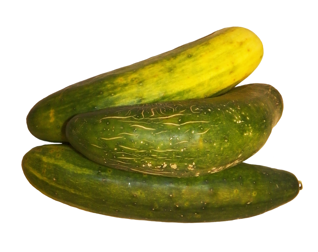 three cucumbers clipart
