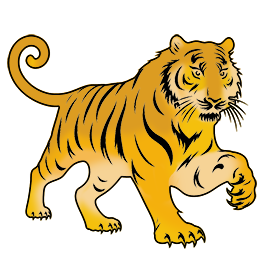 tiger colored