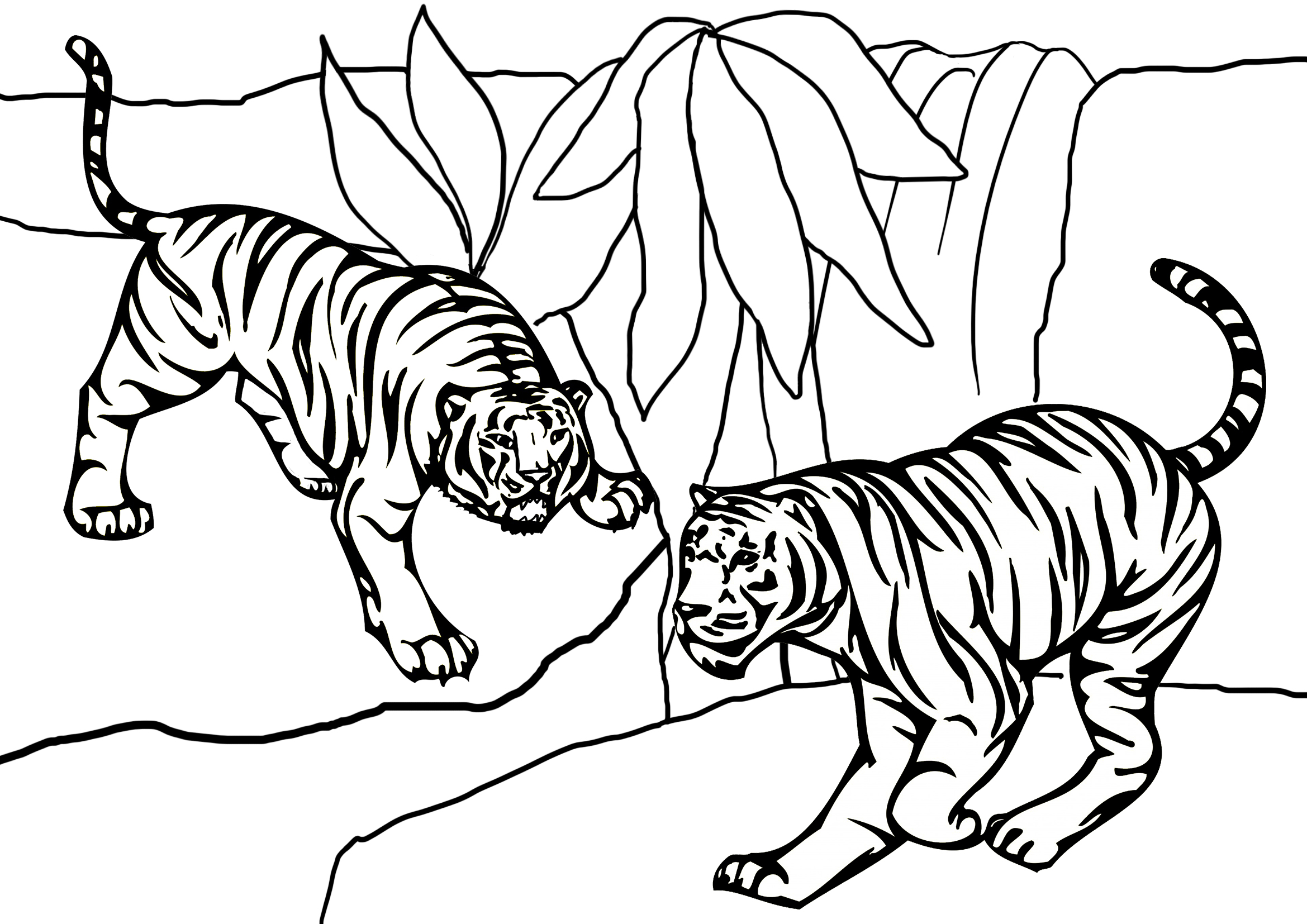 Free Printable Tiger Coloring Pages For Kids In 2020 - vrogue.co