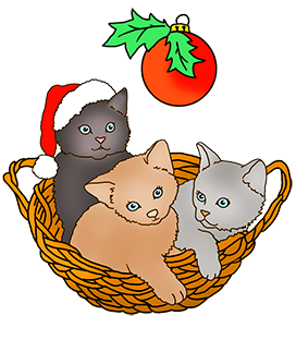 three kittens at Christmas