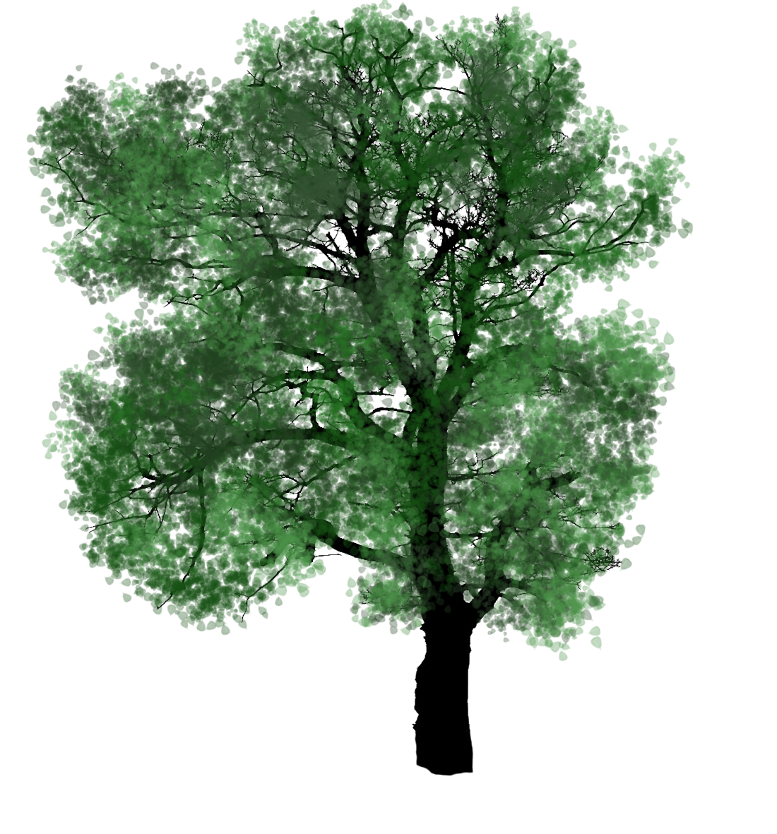 tree with green leaves clipart
