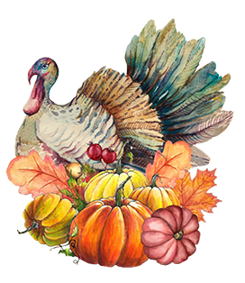turkey and fall fruits
