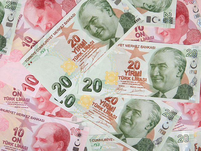 Turkish money clip art