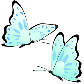 two butterflies