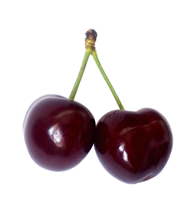 two cherries clipart