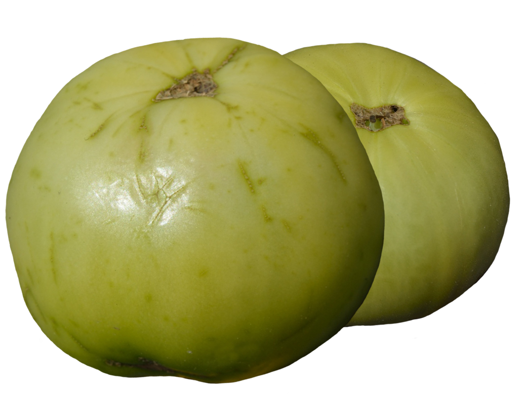clipart two green tomatoes