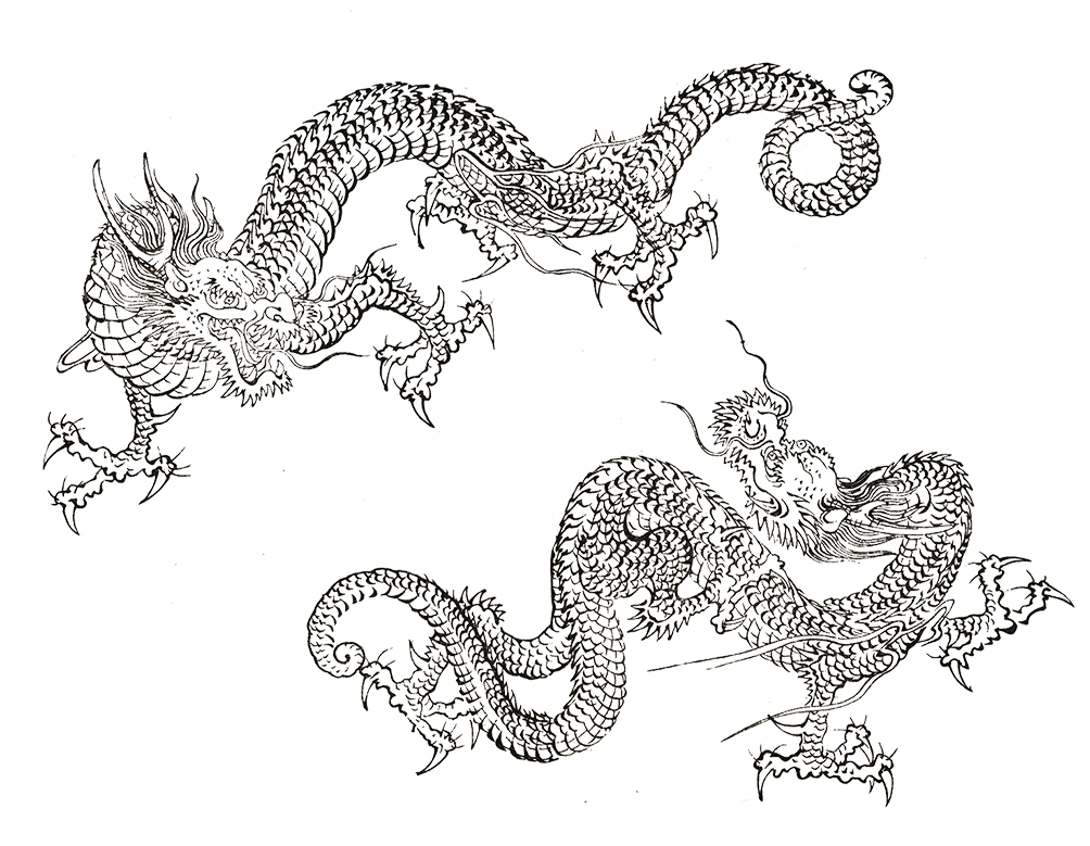 Great Pictures of Cool Dragons