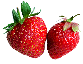 two juicy strawberries