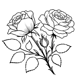 two roses coloring page