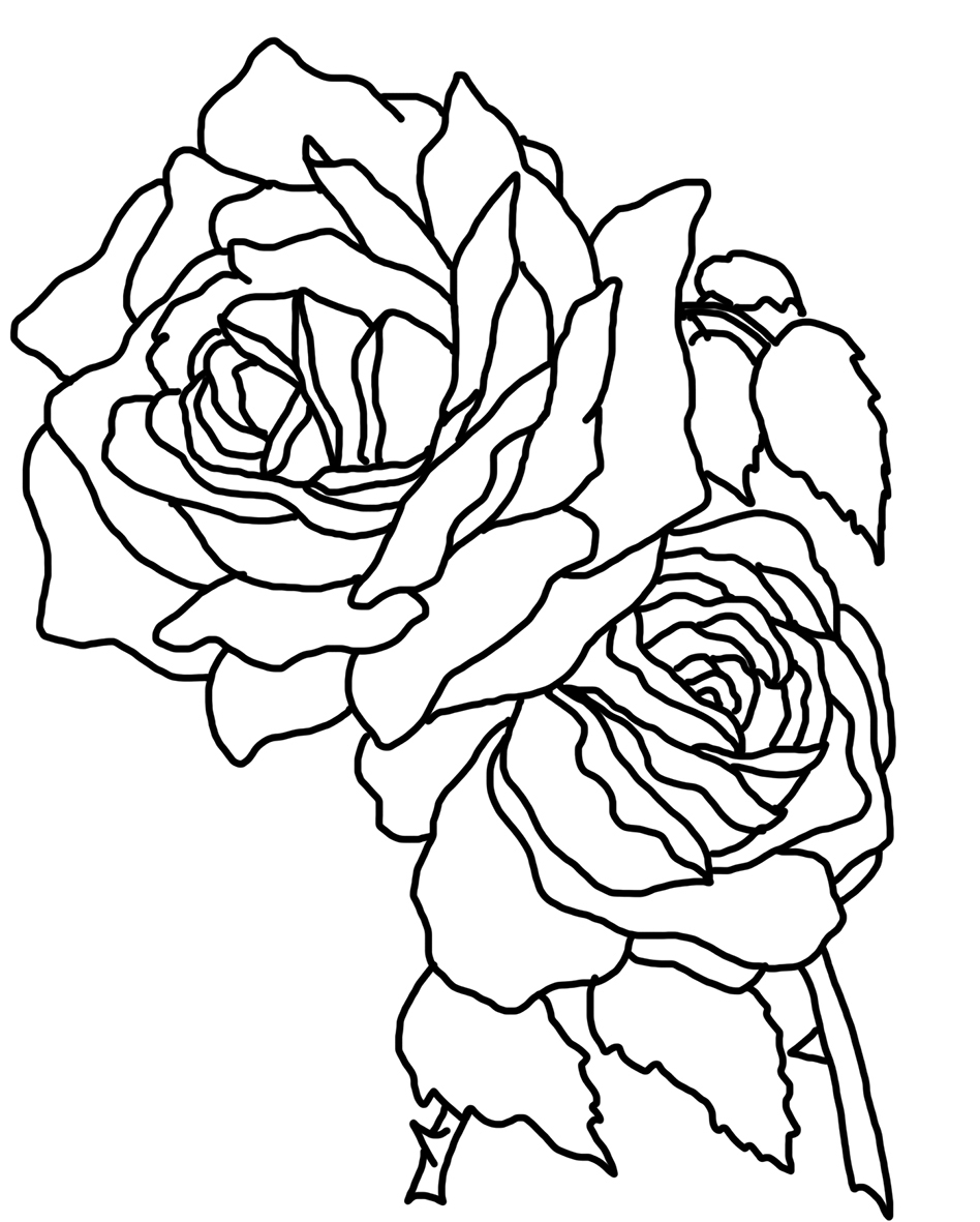 two roses coloring page