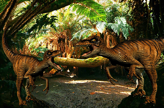dinosaur picture two velociraptors