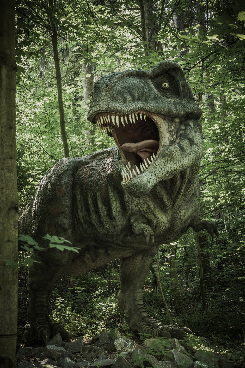 Tyrannosaurus rex in landscape
