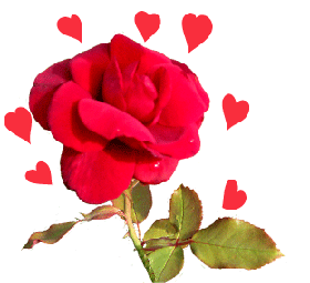 valentine clipart red rose with hearts