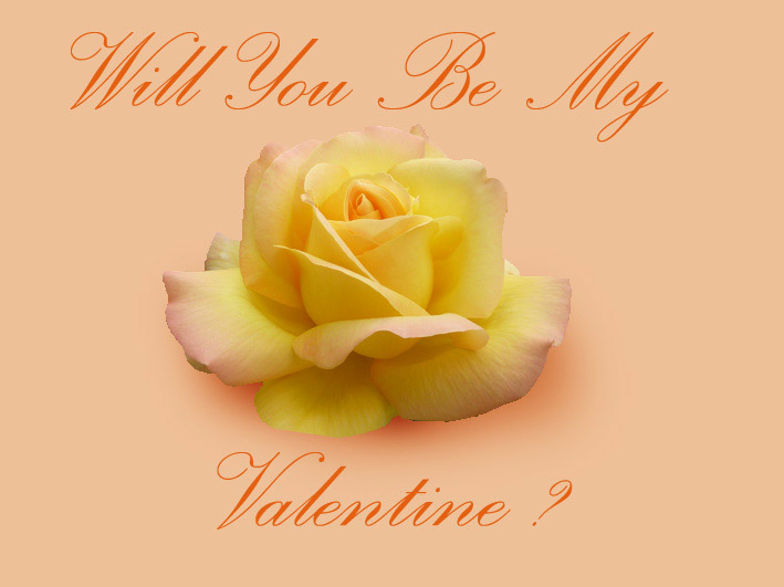 Will you be my valentine card