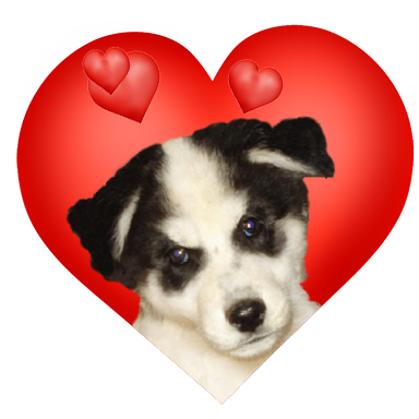 Valentine heart with puppy and hearts