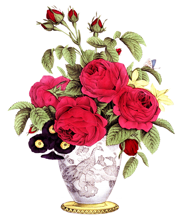 vase with rose flowers