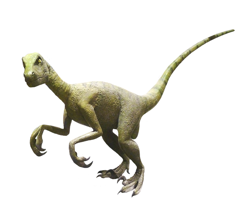 Velociraptor clipart