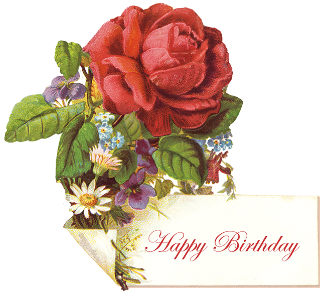 vintage birthday greeting with red rose