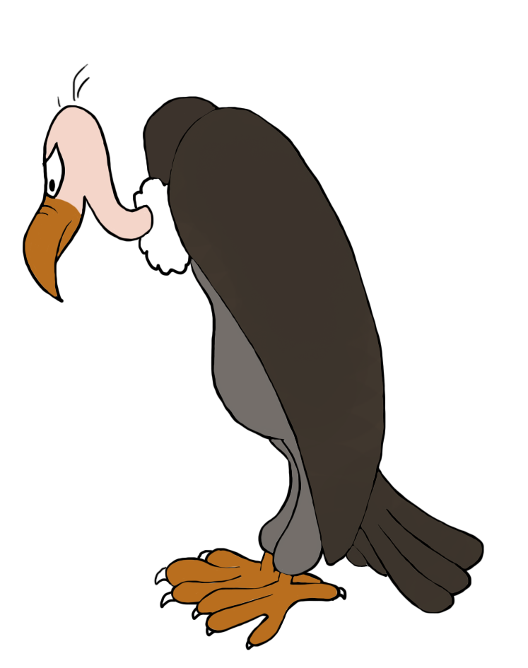 Vulture silhouette in color
