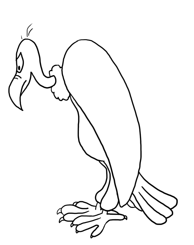 outline silhouette of vulture