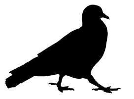 walking pigeon silhouette