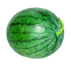 whole watermelon clipart