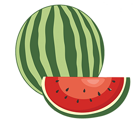 watermelon vintage drawing png