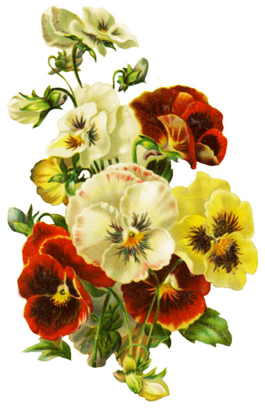 bouquet with pansy for wedding invitation