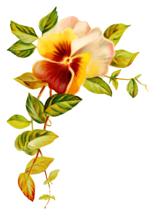 wedding clipart pansy and leaves
