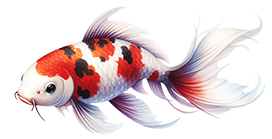 koi fish clipart white red orange black